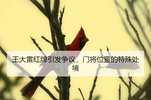 wang-da-lei-hong-pai-yin-fa-zheng-yi-men-jiang-wei-zhi-de-te-shu-chu-jing-2-143.jpg